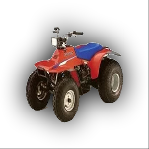 Honda TRX 125 Manual