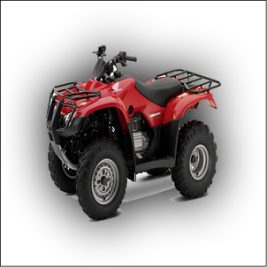 Honda TRX 300 Manual