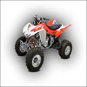 Honda TRX 400 Manual