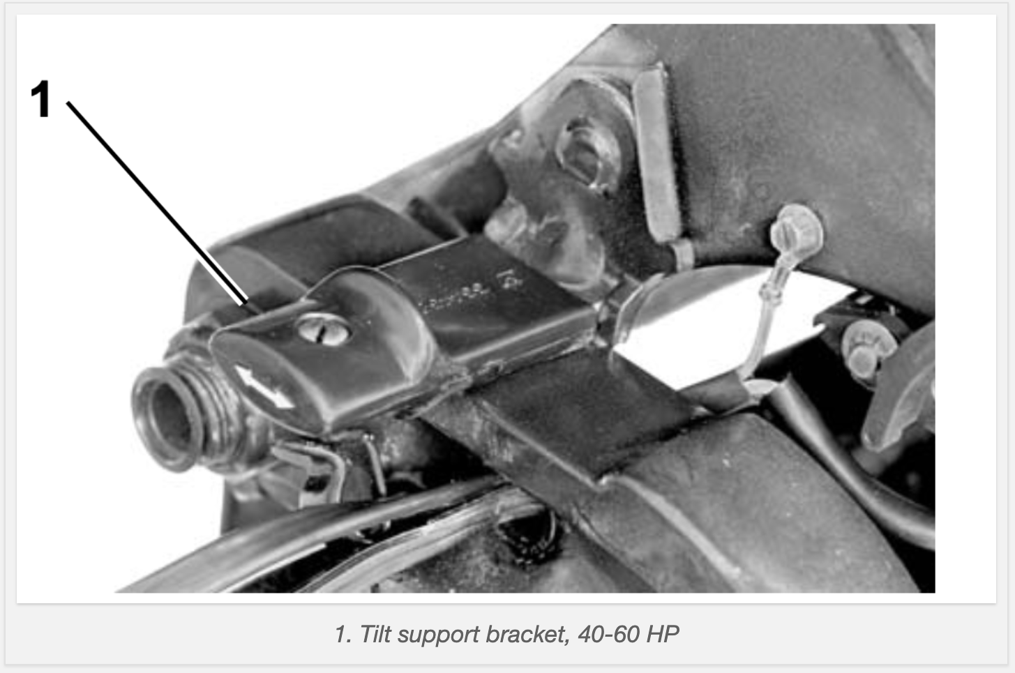 2012 Evinrude E-TEC Trim and Tilt Systems Description 40 – 90 HP